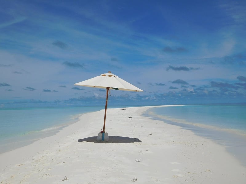 Scuba Diving in the Maldives